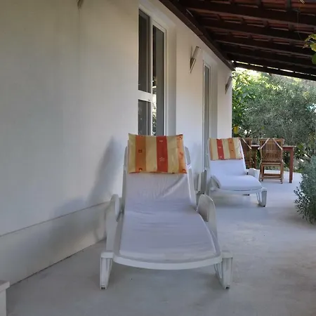 Delfin Apartment